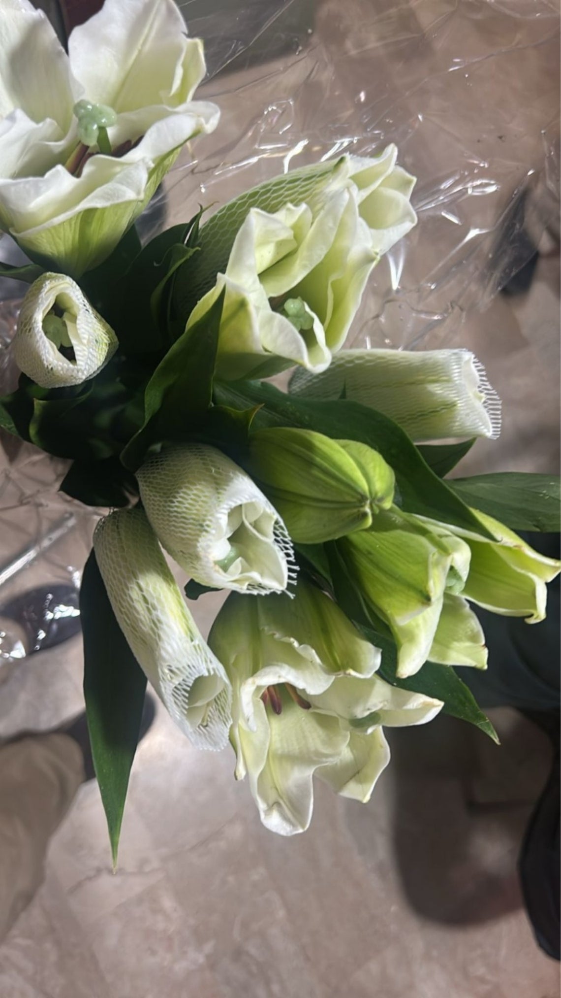 Lily Flower