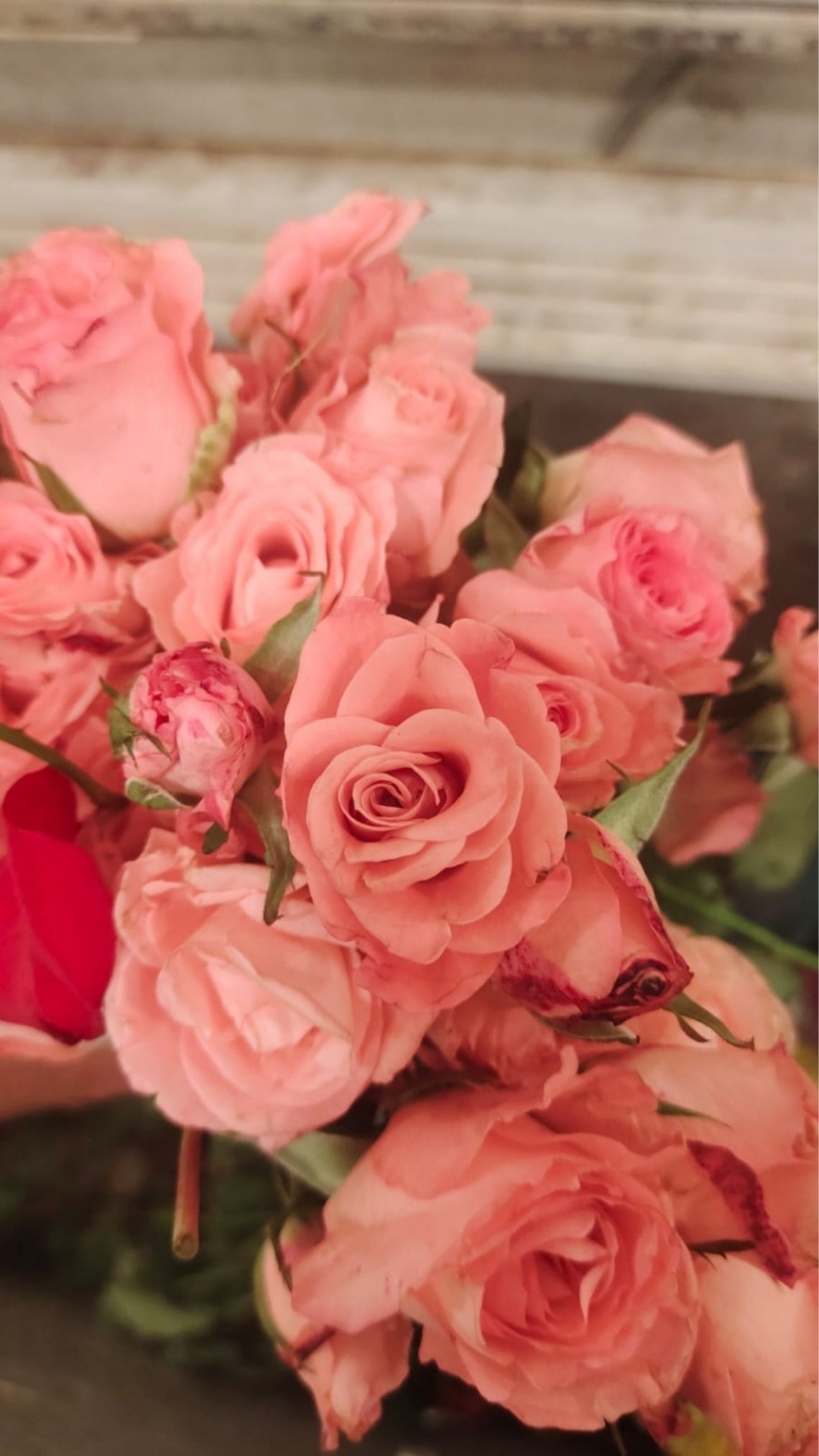 Local Roses