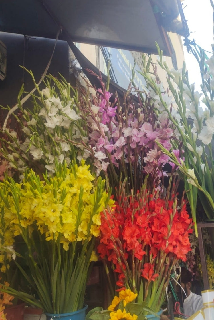 Glad Flower