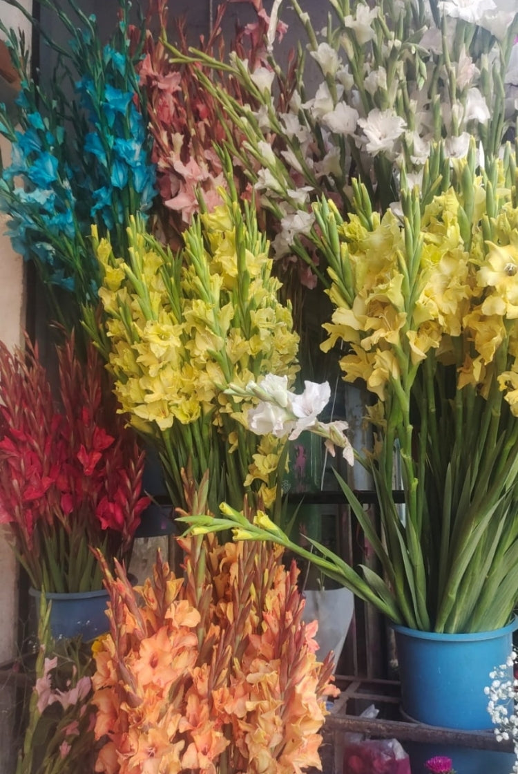 Glad Flower