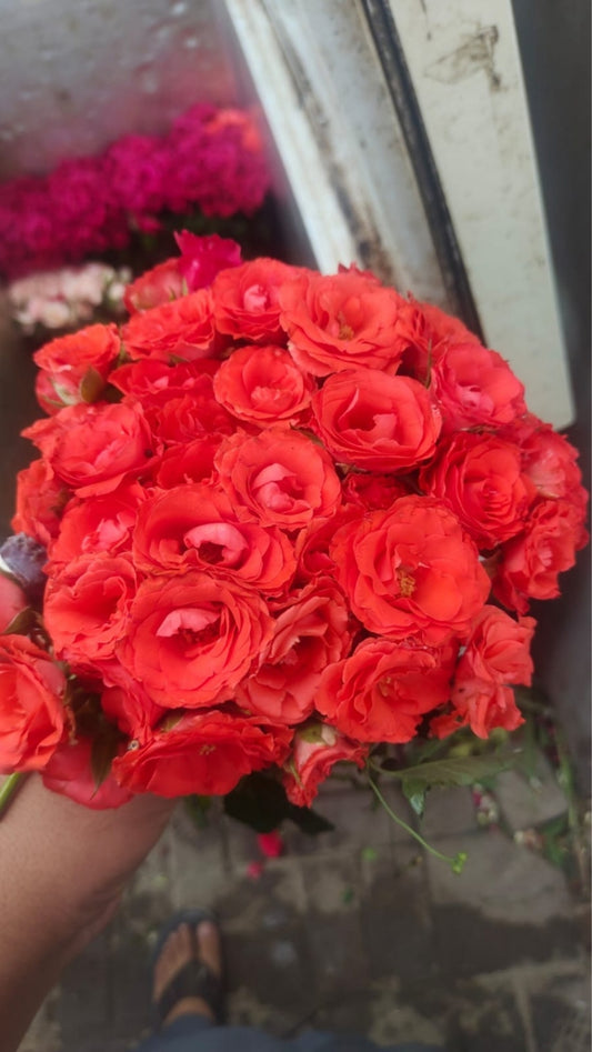 Local Roses