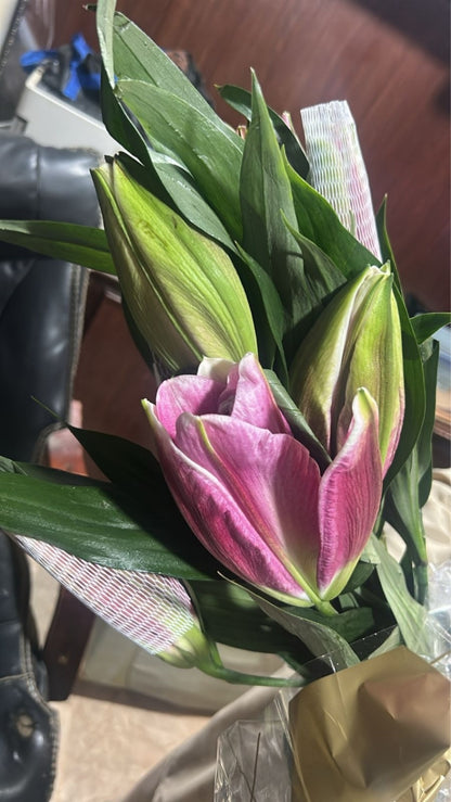 Lily Flower