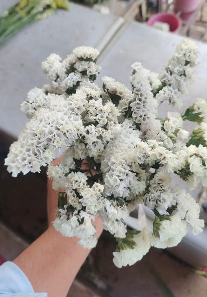 Status Flower