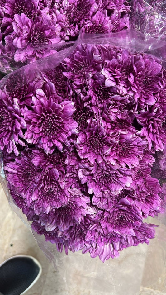 Dazi Flower