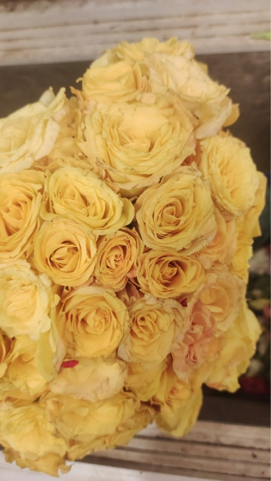 Local Roses