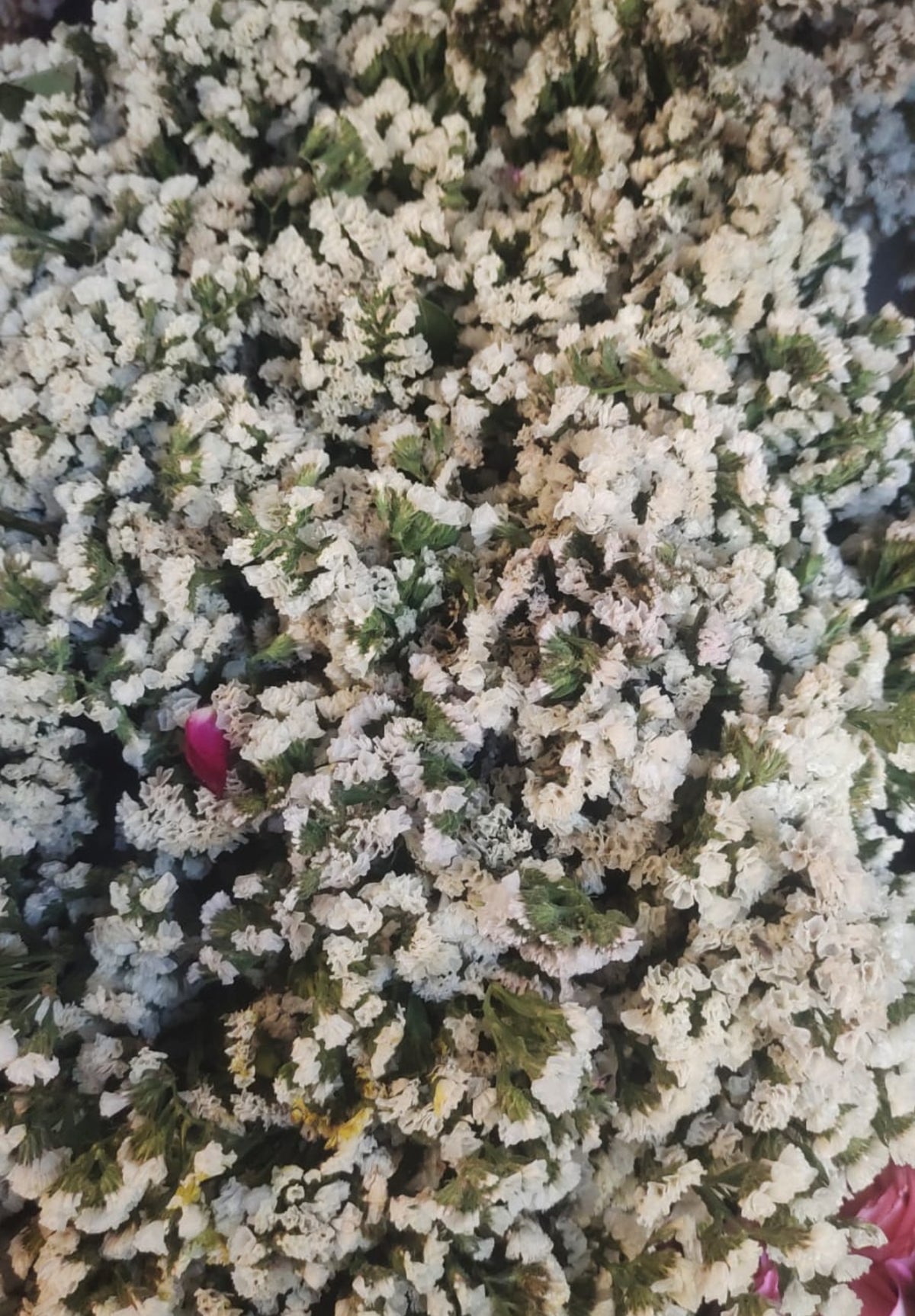 Status Flower
