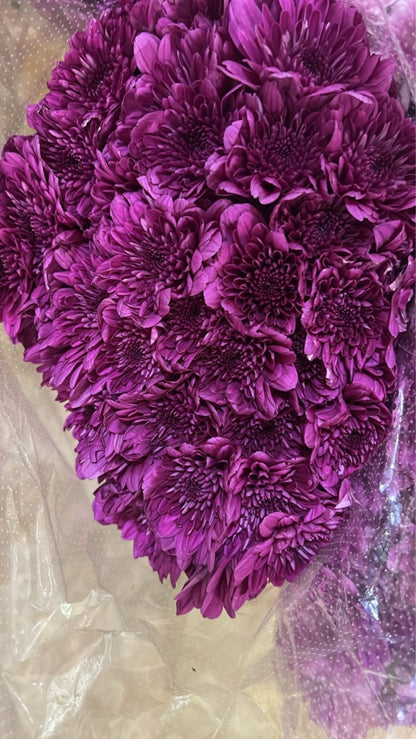 Dazi Flower