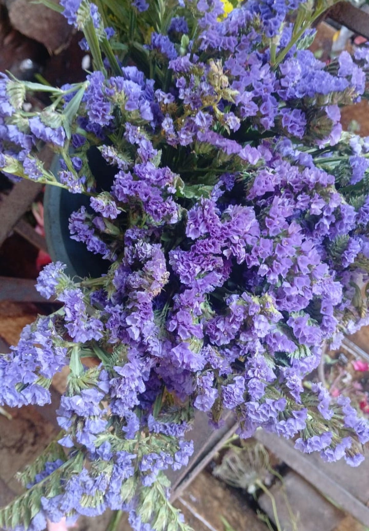 Status Flower