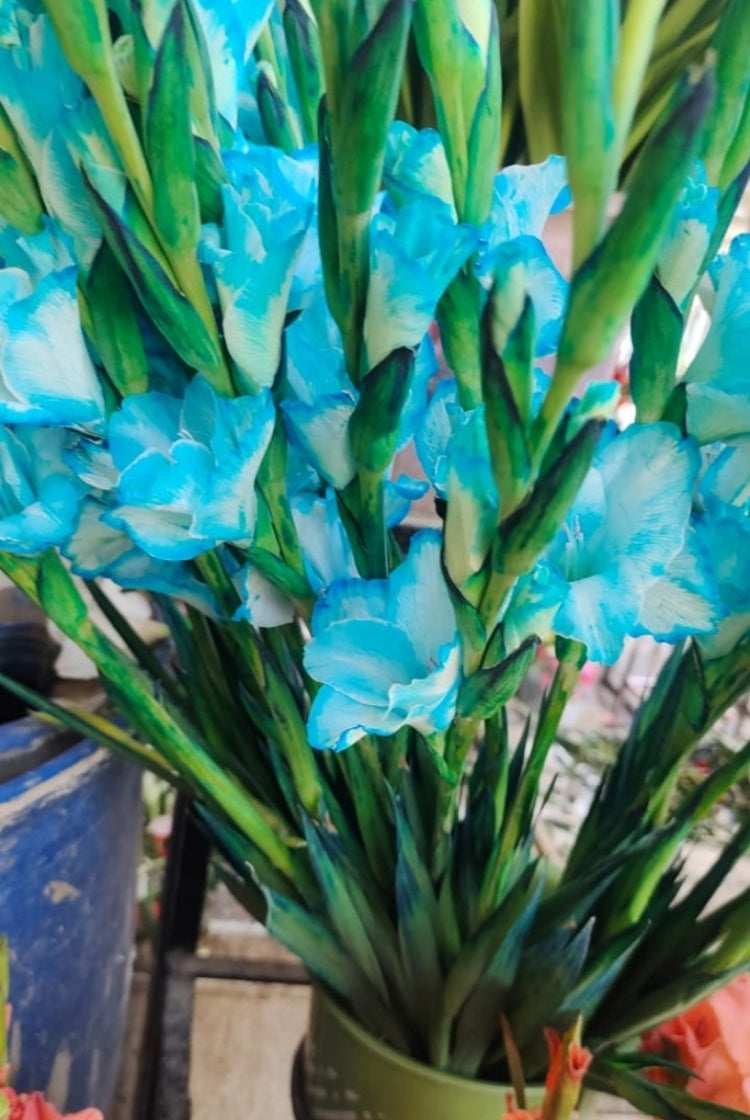 Glad Flower