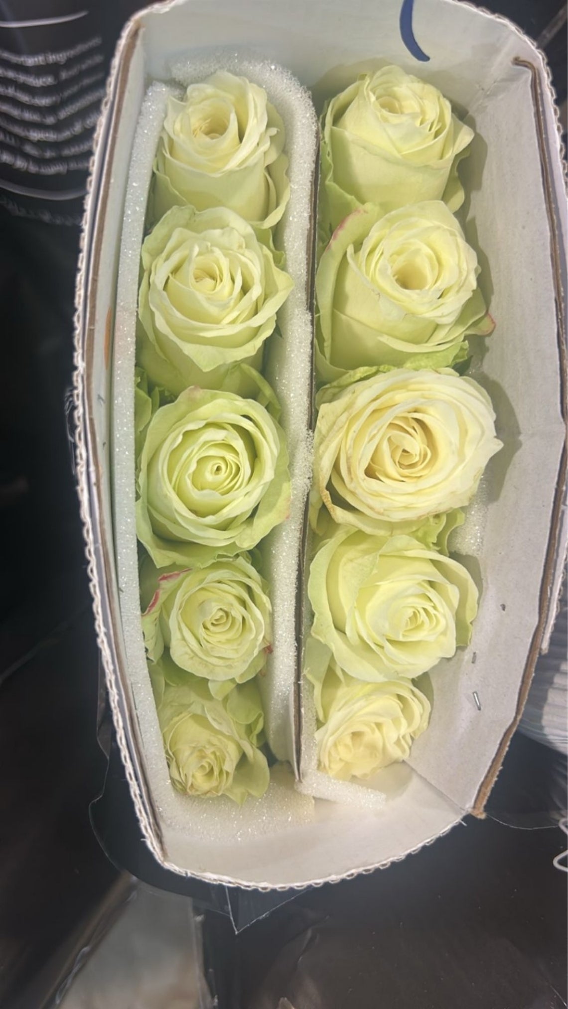 Imported Roses