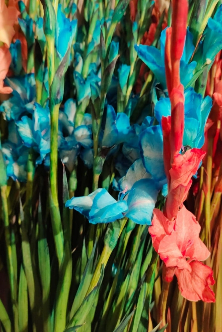 Glad Flower