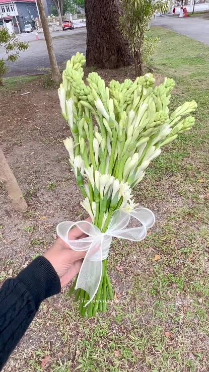 Teubroses  Bouquet